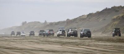 Black sand highway: Sea life suffers as motorists hit the beach