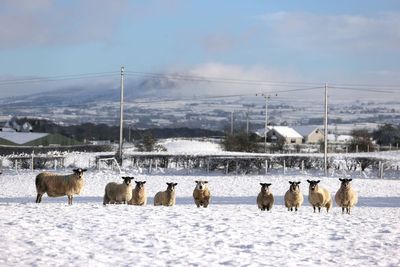 Icy conditions expected to continue over coming days
