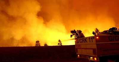 'A day like no other': when Canberra's quiet summer became a wildfire hell