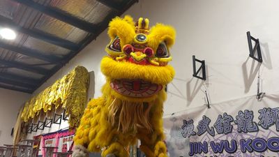 Lion dance troupe Jin Wu Koon prepares for 100 performances for Lunar New Year