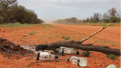 NT Police Minister Kate Worden to meet with Alice Springs liquor retailers on crime crisis