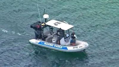 Queensland rangers investigating 'credible' saltwater crocodile sighting on North Stradbroke Island