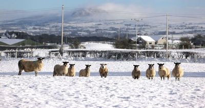 UK snow forecast: Huge swathe of nation to be hit by -8C Arctic freeze and roads chaos