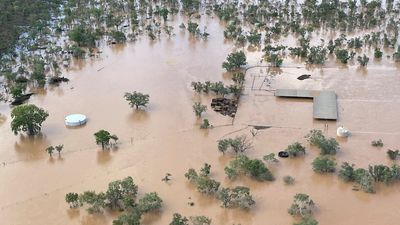 Kimberley pastoralists isolated from markets as flood-damaged roads leave abattoir, live exports inaccessible