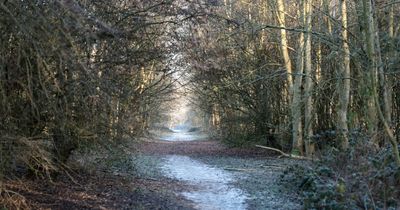 The beautiful woodland in Greater Manchester perfect for a winter walk