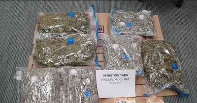 Gardai seize thousands worth of cash and drugs in Finglas as one man arrested