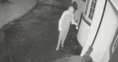 Parcel thieves caught on camera stealing from Giffnock home before running off