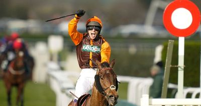 Grand National winner Noble Yeats to miss race as he doesn't qualify for it