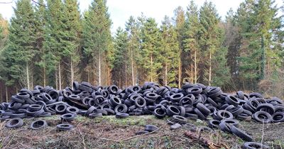 Thousands of tyres dumped near village in Meath sparking fears of major forest fire
