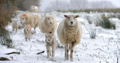 Met Office issues new snow weather warning for whole of Wales as temperatures fall to -7C