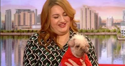 BBC Breakfast viewers divided by 'UK's ugliest dog' Peggy as hosts can't stop laughing