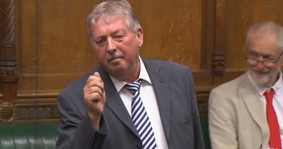 DUP's Sammy Wilson one of just two non-Tory MPs to back new law to restrict strikes