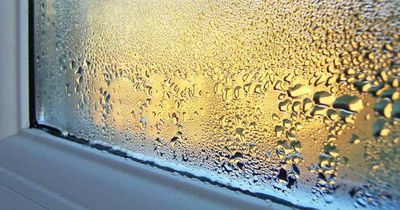 Expert shares seven rules homeowners should follow to stop condensation