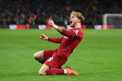 Harvey Elliott urges Liverpool to use FA Cup win as ‘stepping stone’ in Premier League