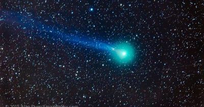 'Green comet' seen by Neanderthals about to make one last appearance above Earth