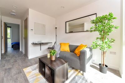 Comment: ‘Should we all be living in lorry-sized tiny homes to solve the housing crisis?’