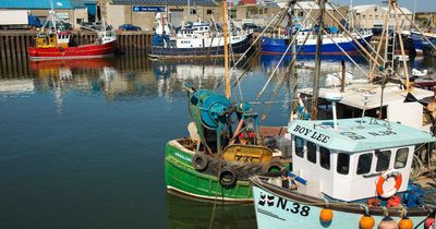 Co Down fishermen could be forced out of business if foreign workers barred, cllr warns