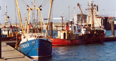 'Wales' iconic fishing industry is in terminal decline unless the Welsh Government acts' | Mabon ap Gwynfor