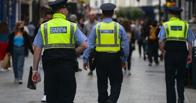 Garda fitness test 'too demanding' as almost one-sixth of trainees fail