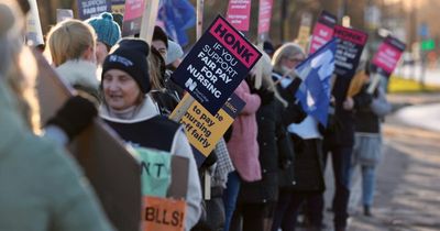 Nurses on strike: How to show support for NHS staff walkouts