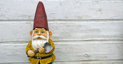 Woman to appear in court after allegedly throwing a garden gnome at neighbour's head in Cork