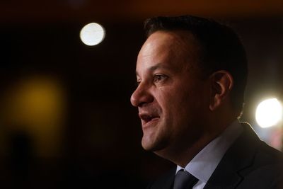 Taoiseach says some billionaires are all ‘fur coat and no knickers’