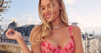 Boux Avenue have launched a Valentine's lingerie range and we love it all