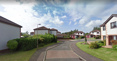 West Lothian car thief gang steal motors from family homes in dead of night