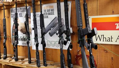 Gun lobby, stores file federal challenge to assault weapons ban, arguing it violates ‘right to keep and bear common arms’