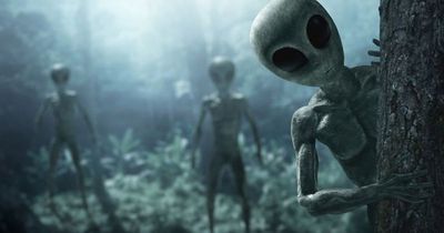 'Time traveller warns hostile alien' will take over the planet in 2023