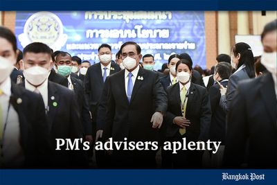 PM's advisers aplenty