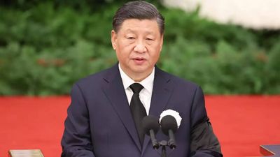 Coronavirus: China masses take Covid fight into own hands as Xi Jinping sits back