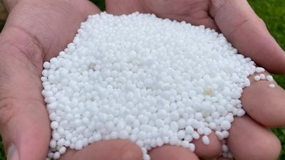 Global fertiliser prices are falling, but how much Australia will benefit is unknown