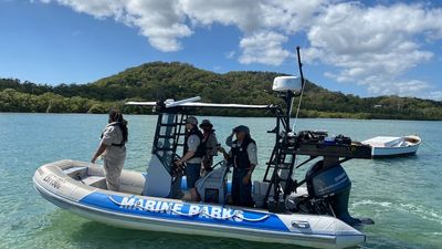 North Queensland wildlife rangers travel to North Stradbroke Island to help investigate saltwater crocodile sighting