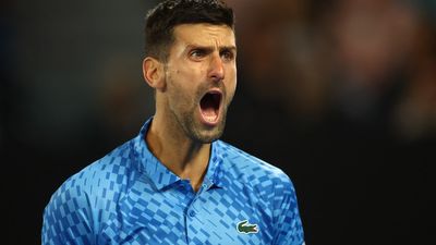 Novak Djokovic advances despite injury and 'drunk' fan drama as seeds tumble. Australian Open day four as it happened