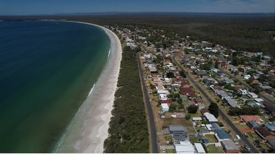 Greens warn 'zombie DAs' risk wiping out threatened species habitat in coastal NSW