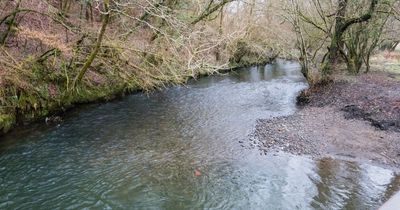 Ynysddu residents fear toxic waste is 'spilling past village' near where children play