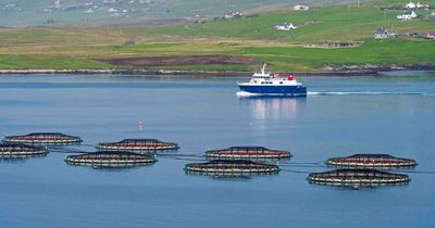 UK Government to fund new lifeline ferry for remote Scots island