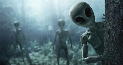 Time traveller warns alien named 'the Champion' will take back the Earth in 2023