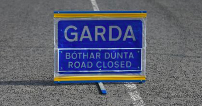 Man in his 80s dead after car collides with wall in horror Dublin crash