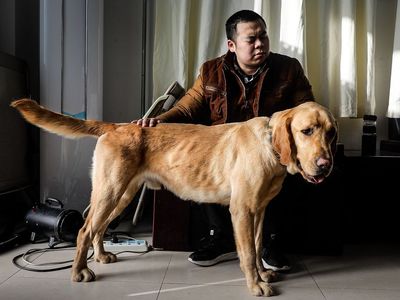 Screening Program For Leading Cause Of Blindness Could Be On Horizon