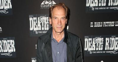 Julian Sands missing in 'dangerous' US mountain range as concern grows for Brit actor