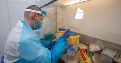 People who catch Covid are five times more likely to die for up to 18 months