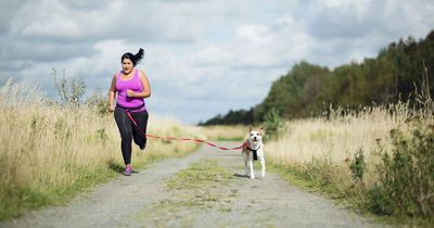 Pet owners have set New Year's resolutions for their animals - like more exercise