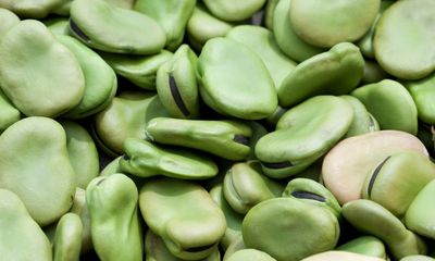 Beans in toast: UK should switch to broad bean bread, say researchers