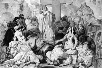 Rats may not have caused the Black Death, study suggests