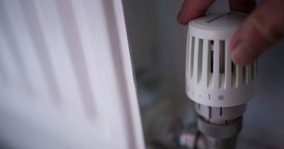 Expert shares radiator trick to help save hundreds on your heating bills