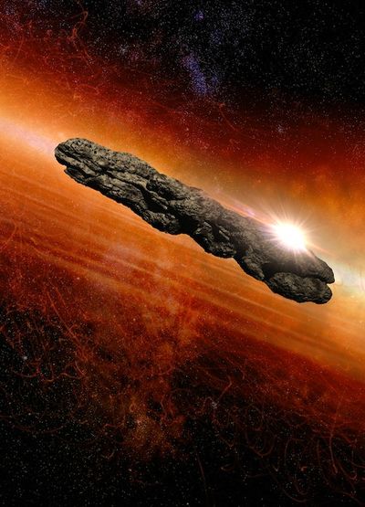Our Solar System may be surrounded by a halo of 10 million interstellar objects