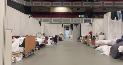 John Kierans: There is a middle ground solution to everything - including immigration