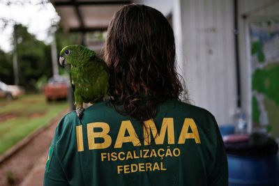Exclusive-Brazil launches first anti-deforestation raids under Lula bid to protect Amazon